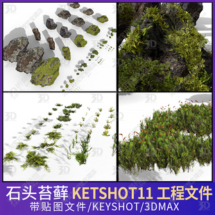 苔藓蕨类石头岩石植物绿植3D三维模型素材KEYSHOT工程文件植被