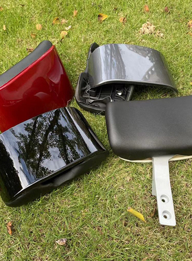 电动车金箭莱昂H1后靠背老百姓N1/B09欧博F6后靠垫改装尾翼靠背