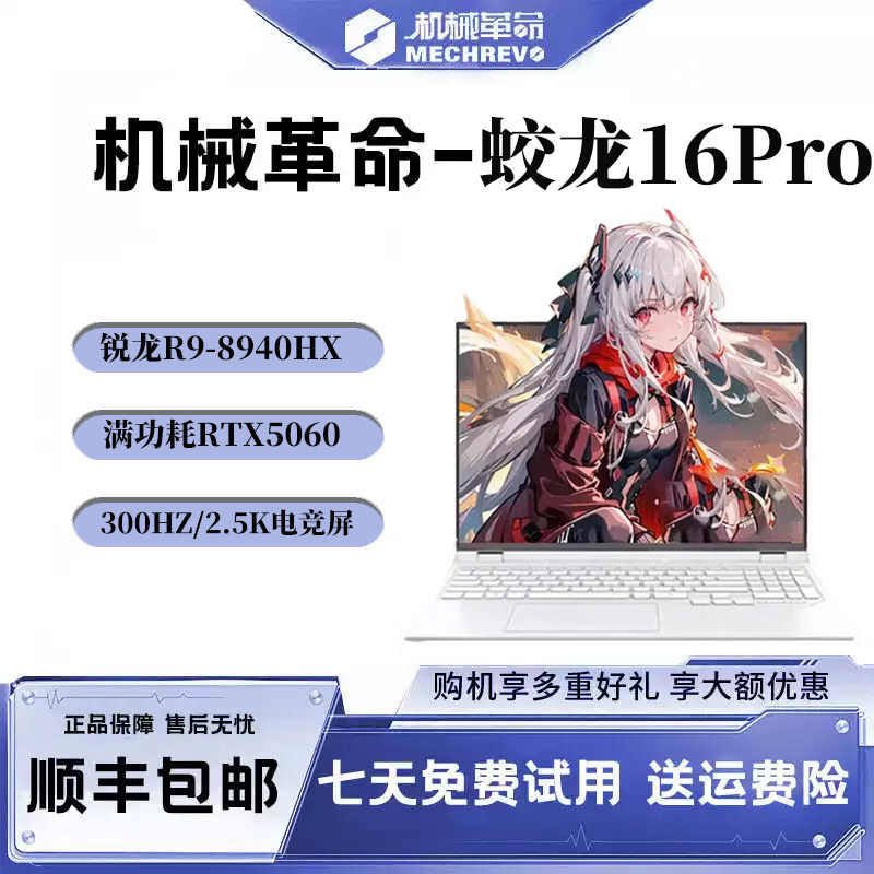 机械革命蛟龙16Pro5060游戏本