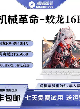 机械革命蛟龙16Pro5060游戏本