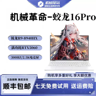 MECHREVO/机械革命 蛟龙系列 蛟龙16 Pro 家用办公笔记本电脑