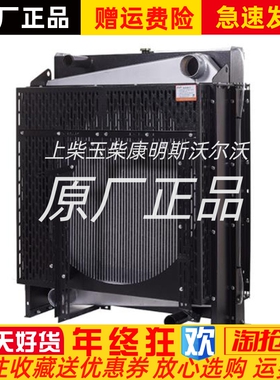 广西玉柴柴油发电机组 250KW千瓦 YC6MK390L YC6MK420L水箱 散热