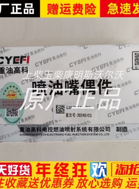 L262PBA-M重油高科喷油嘴重汽豪沃车喷油嘴子偶件