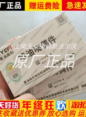 L262PBA-M重油高科喷油嘴重汽豪沃车喷油嘴子偶件原厂