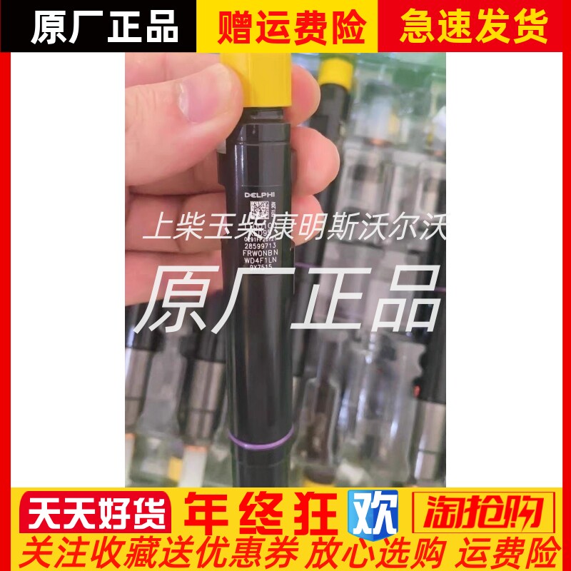 DELPHI德尔福28599713长城炮1100100XED95喷油器原装