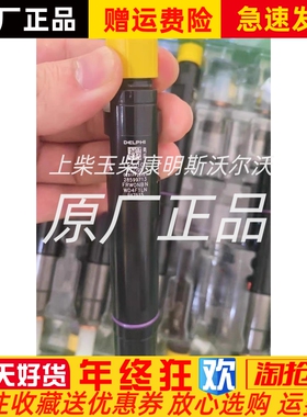 DELPHI德尔福28599713长城炮1100100XED95喷油器原装