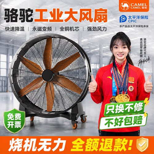 工业移动永磁大功率强力大风扇