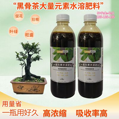 小叶黑骨茶老桩浓缩营养液室内盆景盆栽植物专用大量元素水溶肥料