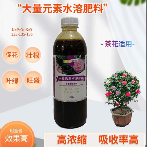 茶花树苗营养液庭院室内香妃五色赤丹盆栽植物专用大量元素水溶肥
