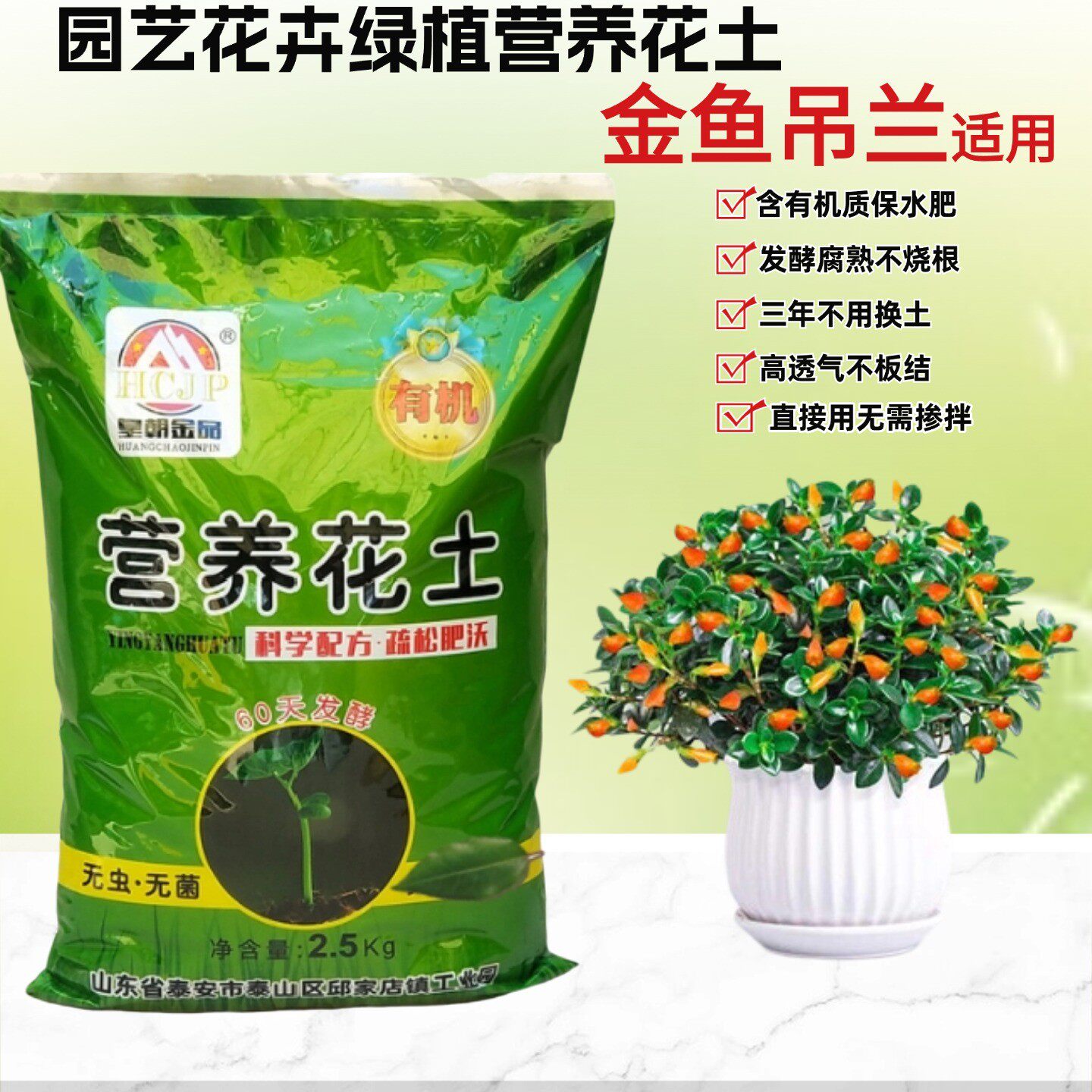 金鱼吊兰盆栽营养花土疏松肥沃