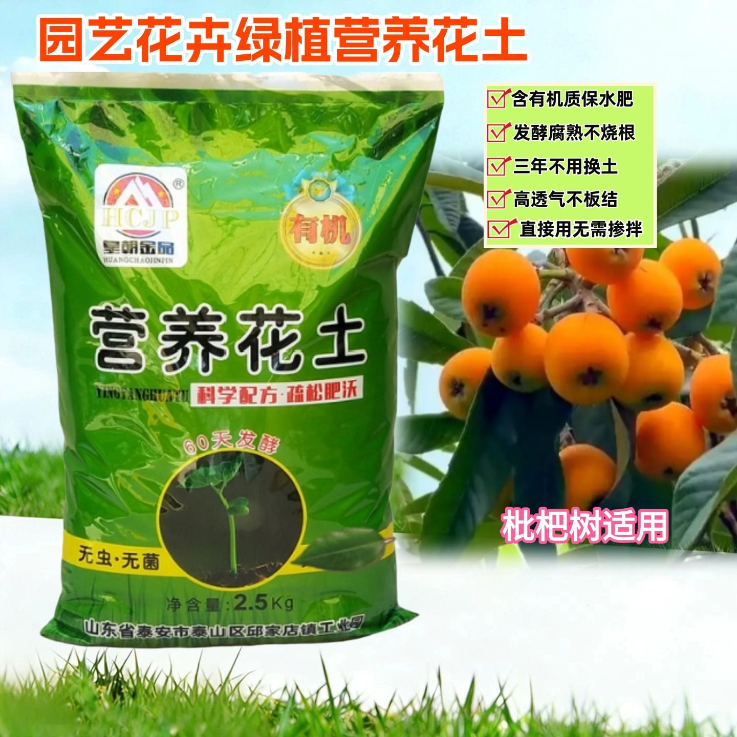 枇杷树苗营养花土庭院白玉琵琶大五星果树植物有机发酵专用种植土图片