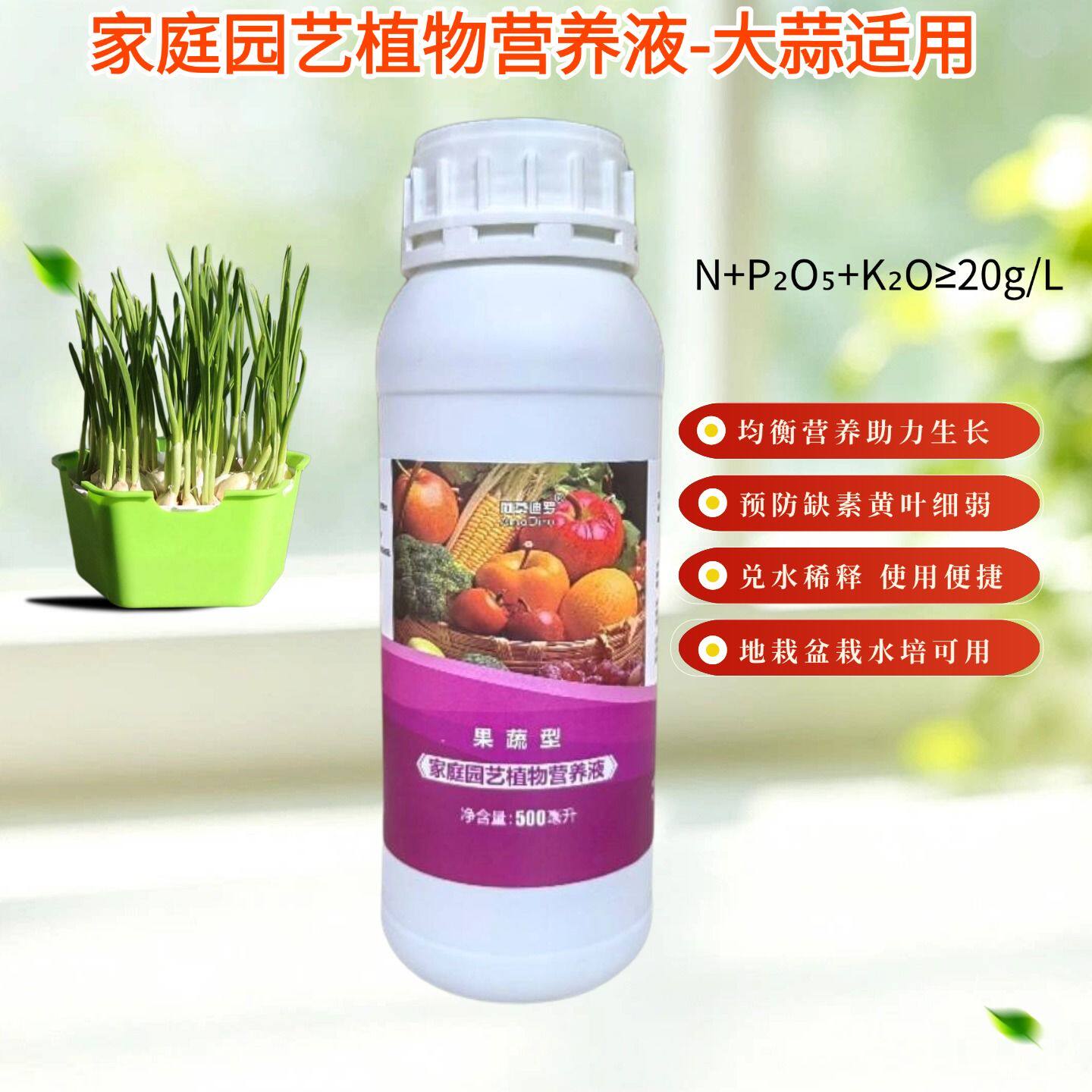大蒜苗蒜黄浓缩营养液庭院阳台红根紫皮盆栽水培绿植通用氮磷钾肥