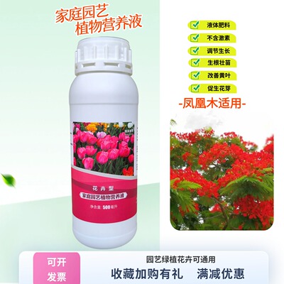 凤凰木树苗磷钾营养液水溶花肥料