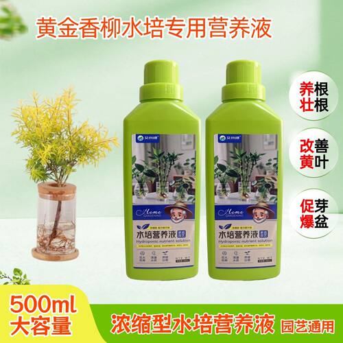 黄金香柳千层金水培专用营养液室内鲜切枝盆栽植物浓缩水溶花肥料