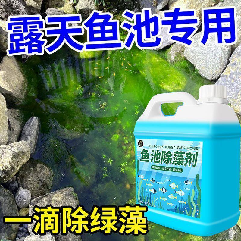 室外鱼池除藻剂净化绿藻青苔绿水黑水鱼缸净水剂除苔剂水质净化壹