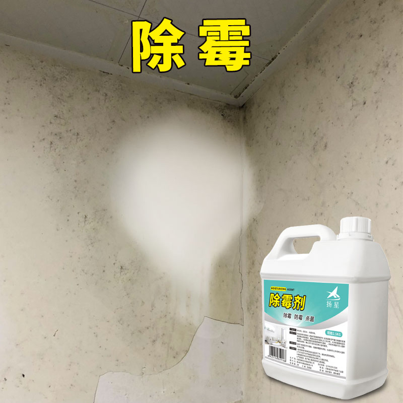 除霉剂墙体墙面防霉墙壁除霉菌神器家用白墙发霉修复去霉斑清除剂