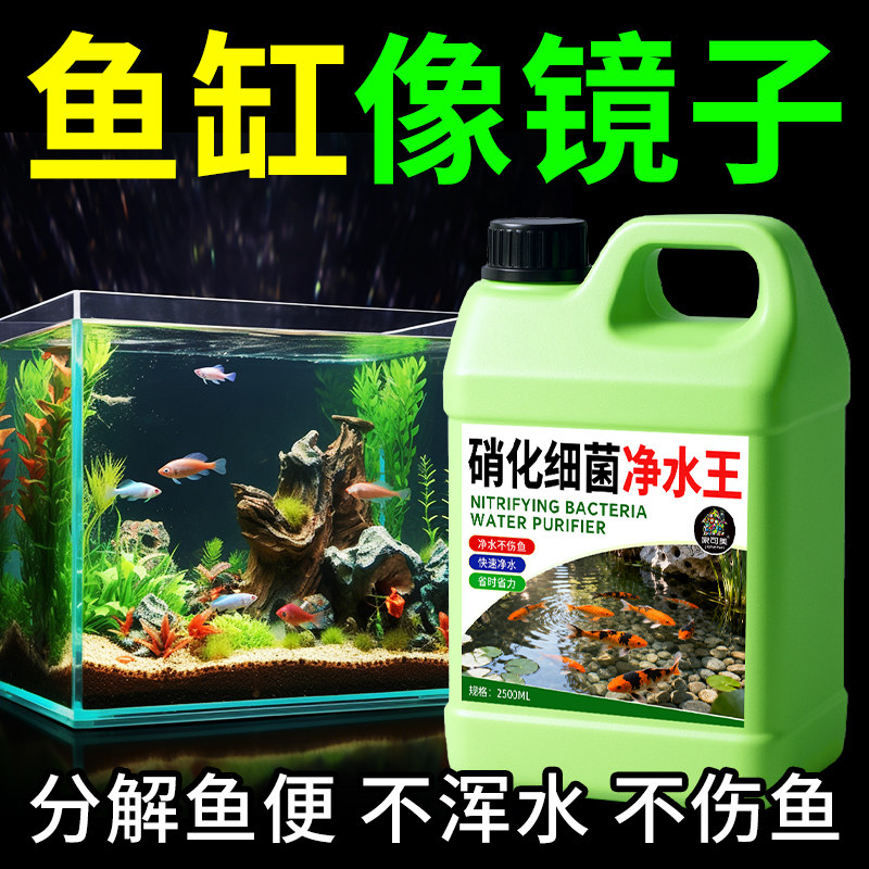 硝化细菌鱼缸用净水剂鱼药养鱼净化水质稳定剂分解鱼粪消化活菌液