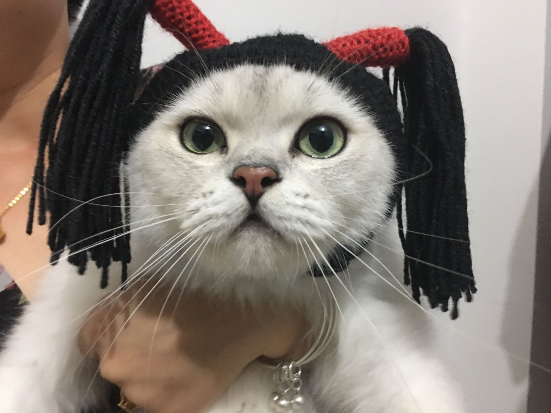 猫咪可爱生日装饰不掉宠物帽