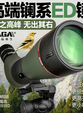 SAGA萨伽鸾凤ED镜片大口径高倍高清观鸟镜专业APO单筒望远镜观鸟