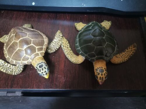 safari仿真海洋生物道具