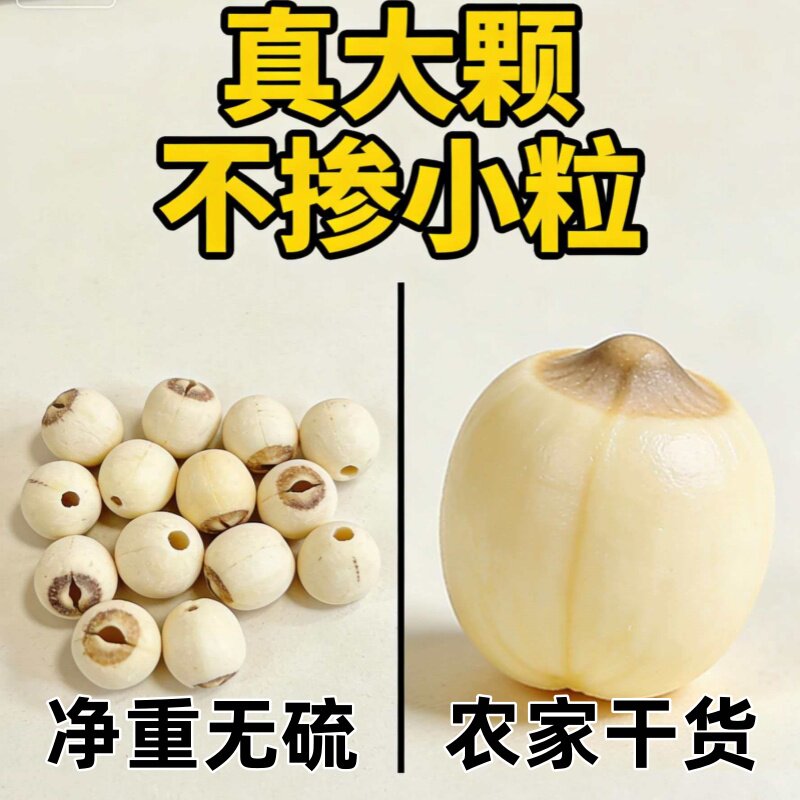 2025无芯白莲子500g大粒去芯磨皮白莲子干货特级无硫湘潭莲子包邮