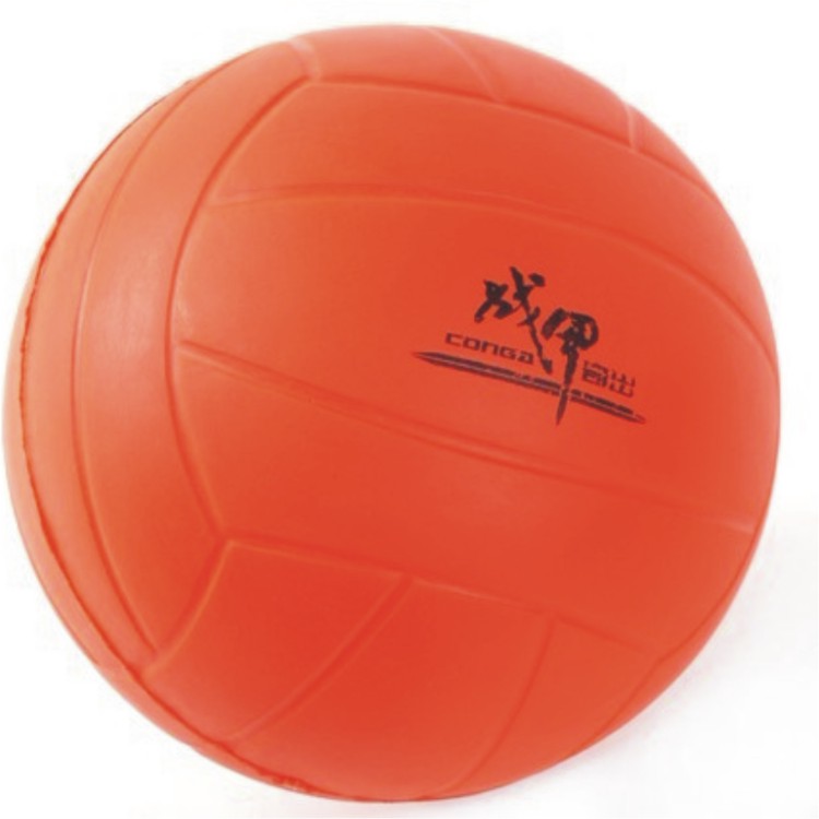 Ballon de volley - Ref 2010086 Image 1