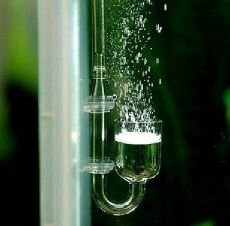 超白鱼缸水草缸二氧化碳CO2透明玻璃细化器、弯管、止逆阀、吸盘在类目 宠物/宠物食品及用品, 水族世界, 鱼缸等水族设备, 二氧化碳设备中 - 来自Buy2taobao.com提供专业的淘宝代购服务