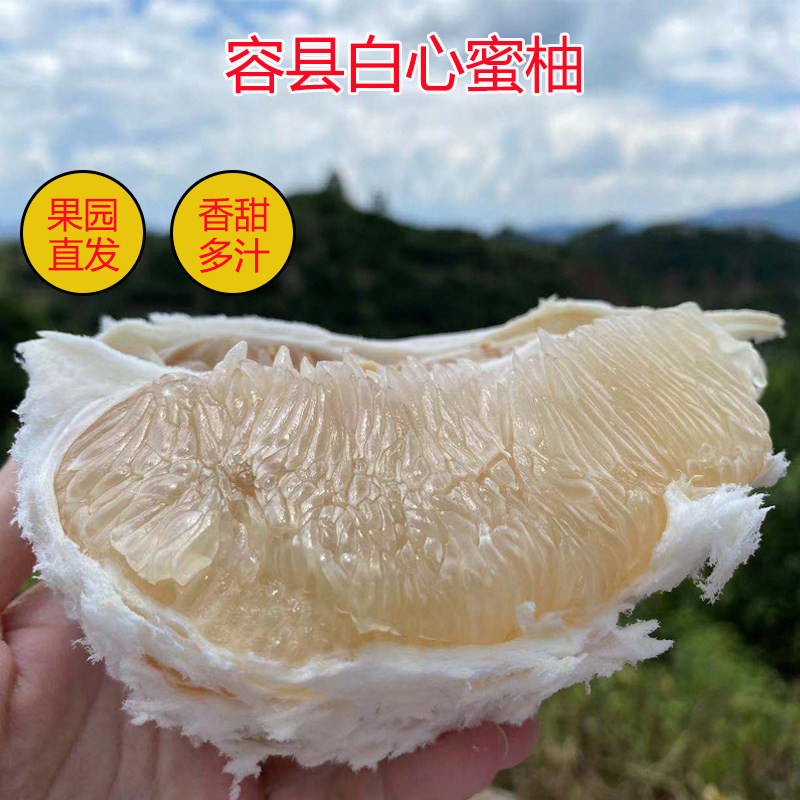 正宗蜜柚广西容县特产