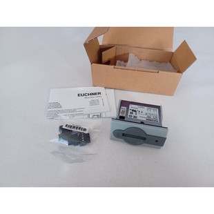 IEXA Sicherheitsschalter 0163 EKS ST02 Euchner G01