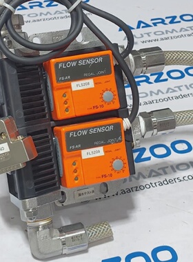 REGAL JOINT FSAR Caudalmetro Sensor De Flujo 0100 FS10 DC24V