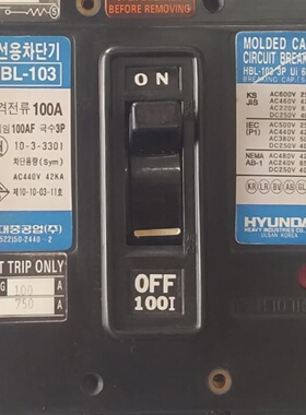 Neu HYUNDAI HBL103 Geformter GehuseLeistungsschalter 660V