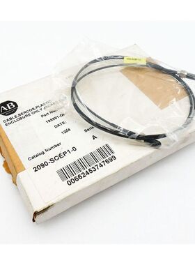 Allen-Bradley 2090-SCEP1-0 195591-Q04 Serie: A L=1m Glasfase