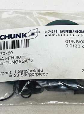Schunk DSA PFH 30 0370759 Dichtungssatz Dichtungsringe Dicht