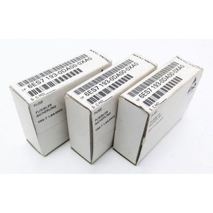 Stand Siemens 0XA0 30x 250V 193 6ES7 Sicher 0DA00