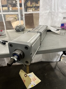 FESTO CYLINDER DNCKE-100-300-PPV-A-5