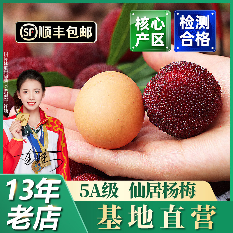 仙居杨梅东魁大杨梅皇特级新鲜水果浙江当季高山现摘现发礼盒装