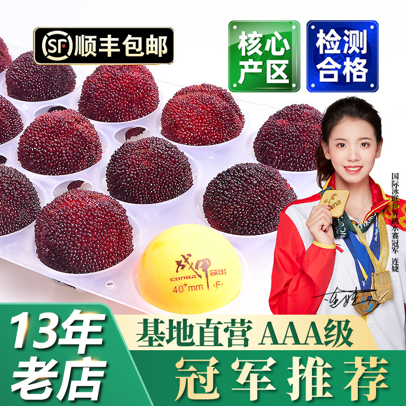 正宗仙居杨梅新鲜东魁大杨梅鲜果特级浙江当季水果现摘现发礼盒装