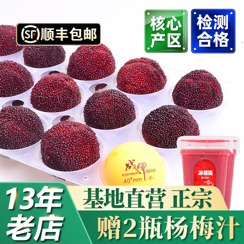仙居杨梅新鲜东魁特大杨梅鲜果浙江当季时令鲜水果现摘现发礼盒装