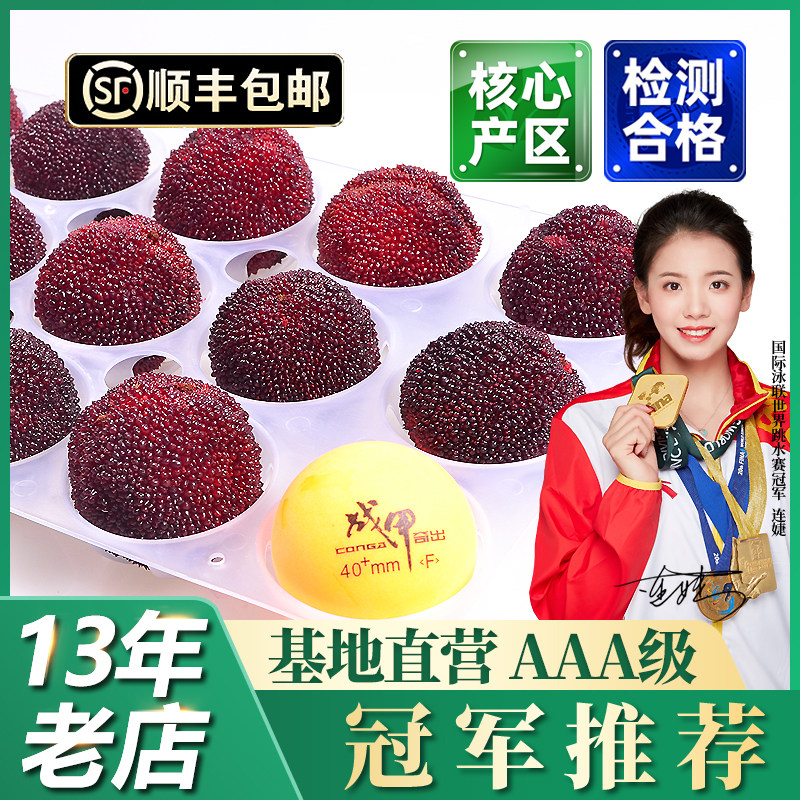 正宗仙居杨梅现摘现发东魁大杨梅