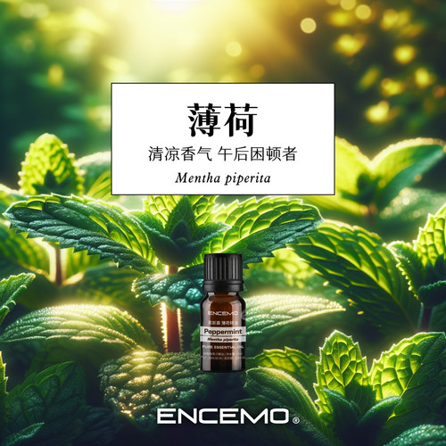ENCEMO欧薄荷单方精油