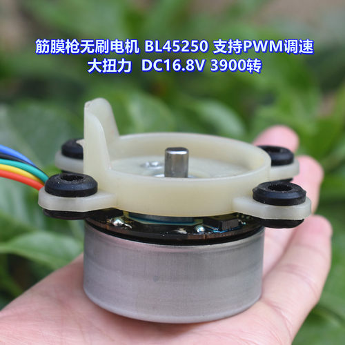 筋膜枪无刷电机BL45250DC16.8V