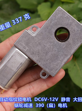 12V蜗轮蜗杆减速电机通孔轴