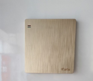 上海人民企业集团香槟色开关插座套装