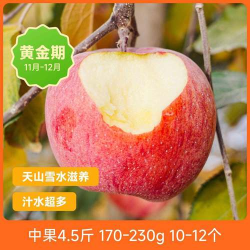 赞友专用链接，辰颐物语新疆阿克苏产地4.5斤