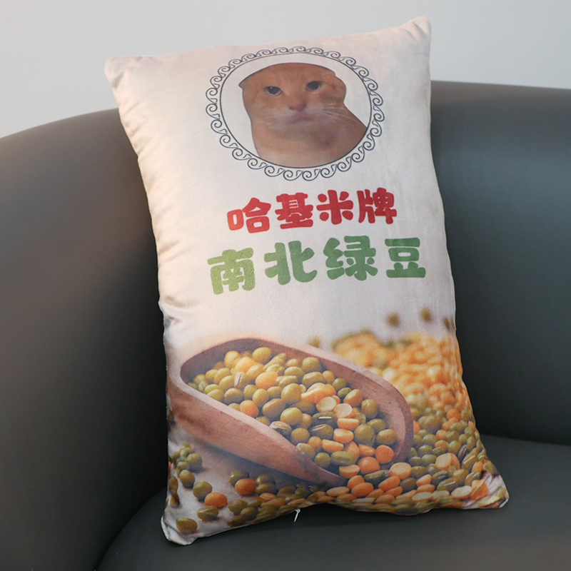 哈基米南北绿豆耄耋卡通鬼畜恶搞创意抱枕生日礼物礼品
