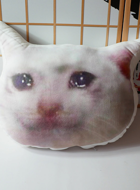 crying cat流泪猫猫头哭哭猫沙雕表情包恶搞笑抱枕毛绒双面靠垫