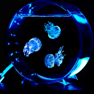 海洋馆巴布亚硝斑点水母活物缸生态造景观赏桌面小型水母鱼缸套餐