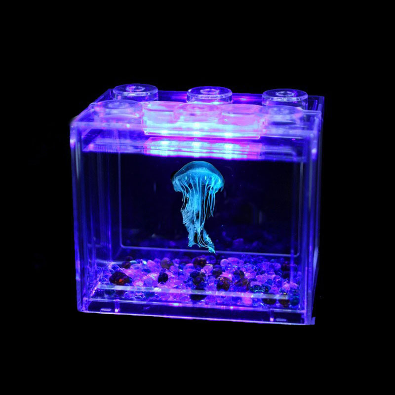 赤月倒立水母活宠物套餐终生包活