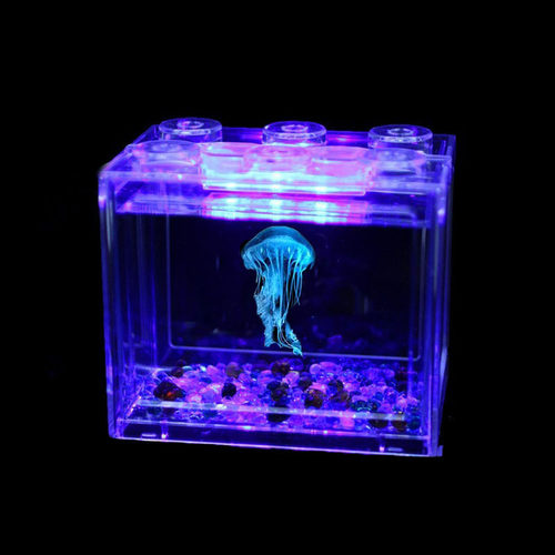 赤月倒立水母活宠物套餐终生包活