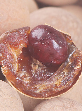 龙眼干小核桂圆泡水食用农产品